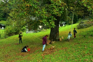 La raccolta delle castagne @Bregaglia Engadin Turismo