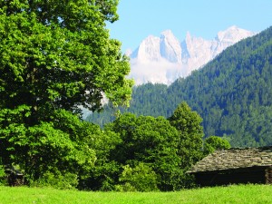 il castagneto @Bregaglia Engadin  Turismo